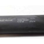 Amortiguadores Maletero / Porton Para Renault Clio Iv
