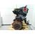Motor Completo Para Renault Clio Iv