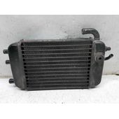 Radiador Agua Para Yamaha Yq 50