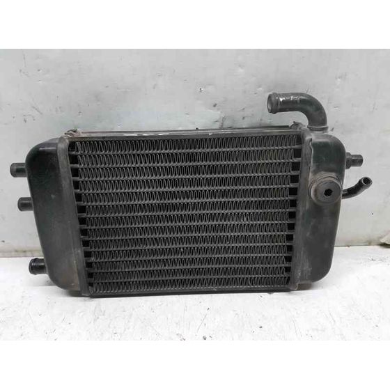 Radiador Agua Para Yamaha Yq 50