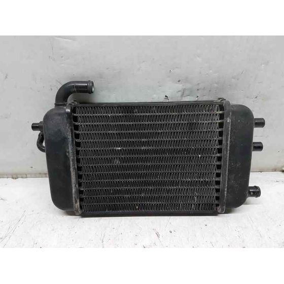 Radiador Agua Para Yamaha Yq 50