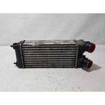 Intercooler Para Citroen C4 Picasso