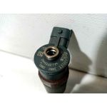 Inyector Para Citroen C-Elysée