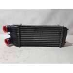 Intercooler Para Peugeot 207