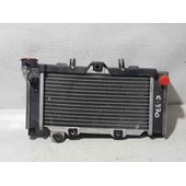 Radiador Agua Para Kymco Venox