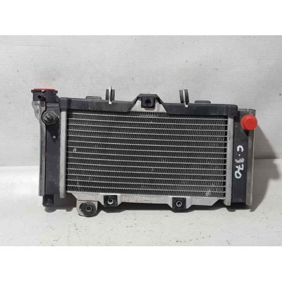 Radiador Agua Para Kymco Venox