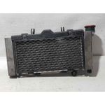 Radiador Agua Para Kymco Venox