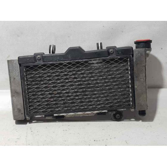 Radiador Agua Para Kymco Venox