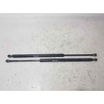 Amortiguadores Maletero / Porton Para Bmw X5