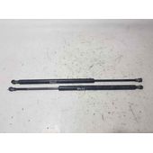 Amortiguadores Maletero / Porton Para Bmw X5