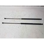 Amortiguadores Maletero / Porton Para Nissan Juke