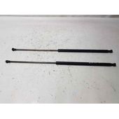 Amortiguadores Maletero / Porton Para Nissan Juke