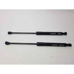 Amortiguadores Maletero / Porton Para Renault Kangoo