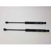 Amortiguadores Maletero / Porton Para Renault Kangoo