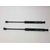 Amortiguadores Maletero / Porton Para Renault Kangoo