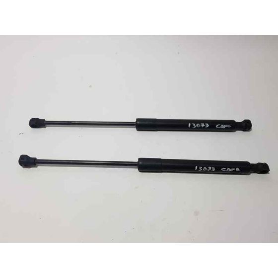 Amortiguadores Maletero / Porton Para Renault Kangoo