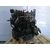 Motor Completo Para Renault Clio Iii