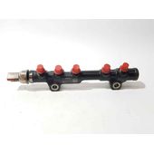 Rampa Inyectora para Peugeot 308