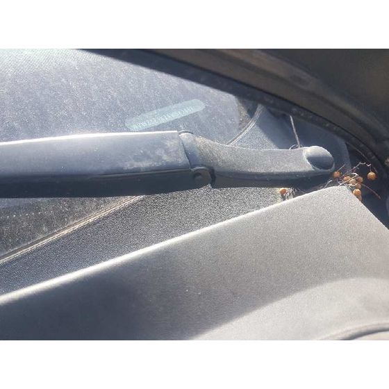 Motor Limpia Delantero Para Volkswagen Golf Plus