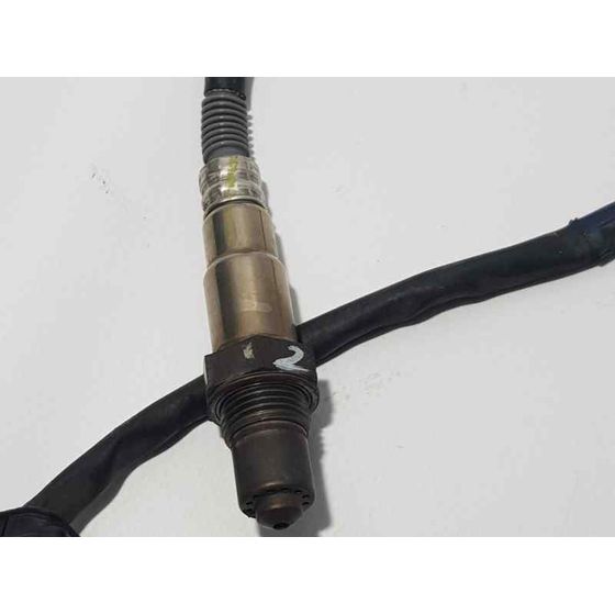 Sonda Lambda para Kia Sportage