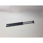 Amortiguadores Maletero / Porton Para Renault Clio Iv
