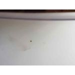 Cristal Retrovisor Izquierdo Para Citroen Berlingo Cuadro