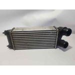 Intercooler Para Ds 4