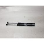 Amortiguadores Maletero / Porton Para Toyota Auris