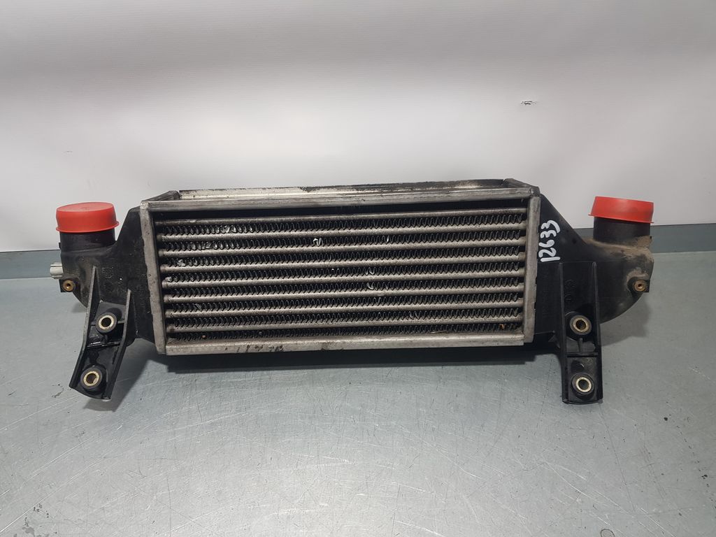 Intercooler Para Ford Focus Berlina