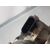 Motor Limpia Delantero para Ford Focus Lim. (Cb8)