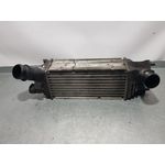 Intercooler para Peugeot 407