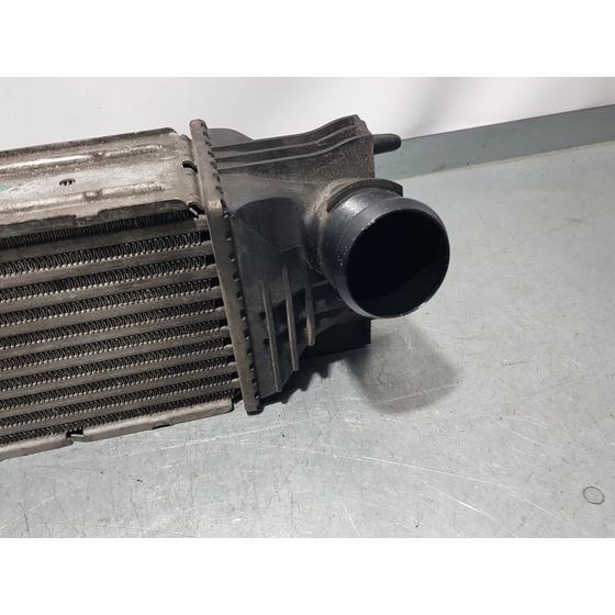 Intercooler para Peugeot 407