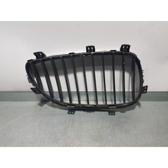 Rejilla Delantera Para Bmw Serie 5 Berlina