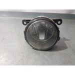 Faro Antiniebla Derecho Para Renault Scenic Iii