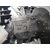 Motor Limpia Trasero para Kia Picanto