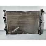 Radiador Agua Para Renault Megane Ii Berlina 3P