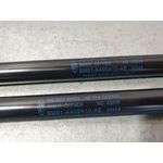 Amortiguadores Maletero / Porton para Ford Focus