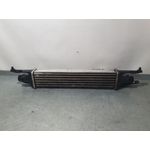 Intercooler Para Opel Corsa D