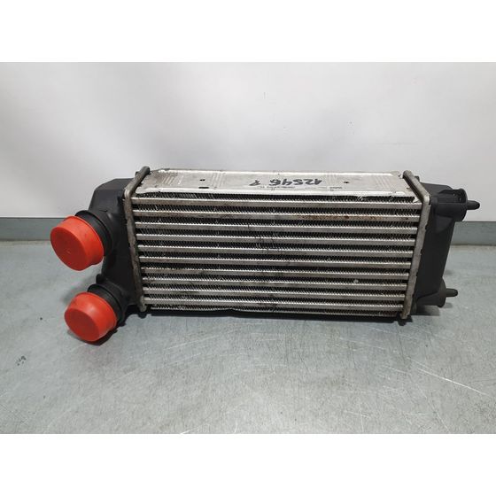 Intercooler Para Citroen C4 Lim.