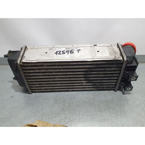 Intercooler Para Citroen C4 Lim.