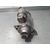 Motor Arranque Para Seat Leon