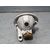 Faro Antiniebla Derecho Para Peugeot 208