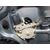 Elevalunas Delantero Derecho Para Ford Focus Berlina