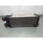 Intercooler Para Citroen C3 Picasso