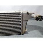 Intercooler Para Nissan Cabstar E