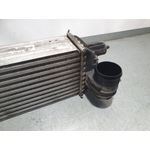 Intercooler Para Ds 5