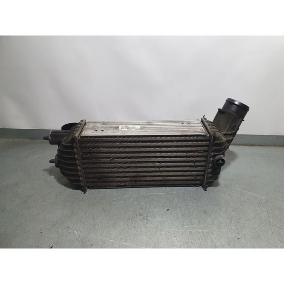 Intercooler Para Ds 5