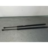 Amortiguadores Maletero / Porton Para Ford Kuga