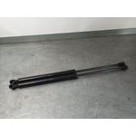 Amortiguadores Maletero / Porton Para Dacia Sandero