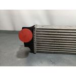 Intercooler Para Bmw Serie 5 Lim.